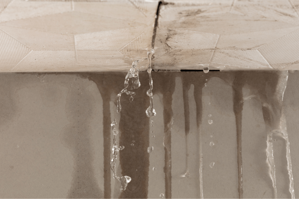 Hidden water leak detection in Dubai